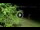 Webcam in Soverato, 0.9 mi away