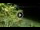 Webcam in Soverato, 15.6 km entfernt