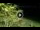Webcam in Soverato, 22.9 km entfernt