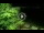 Webcam in Soverato, 1.5 km entfernt