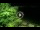 Webcam in Soverato, 0.9 mi away