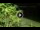 Webcam in Soverato, 22.9 km entfernt