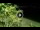 Webcam in Soverato, 5.8 mi away