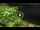 Webcam in Soverato, 2.2 km