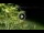 Webcam in Soverato, 2.2 km entfernt