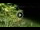 Webcam in Soverato, 1.5 km entfernt