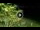 Webcam in Soverato, 55.5 km