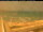 Webcam in Civitanova Marche, 0.5 mi away