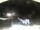 Webcam in Thiene, 11.9 mi away