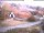 Webcam in Bad Harzburg, 0 km entfernt