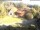 Webcam in Bad Harzburg, 0 km entfernt