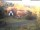 Webcam in Bad Harzburg, 1.3 km