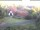 Webcam in Bad Harzburg, 1.3 km