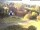 Webcam in Bad Harzburg, 0 km