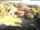 Webcam in Bad Harzburg, 12.6 mi away