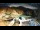 Webcam at Monte Cimone, 0.9 mi away