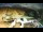 Webcam at Monte Cimone, 2.5 mi away