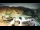 Webcam al Monte Cimone, 2.2 km