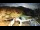 Webcam at Monte Cimone, 15.9 mi away