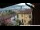 Webcam in Barga, 9.4 mi away