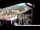 Webcam in Barga, 10 mi away