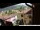 Webcam in Barga, 16.6 km