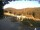 Webcam in Frassinoro, 41.1 km