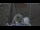 Webcam on the Arctic Sunrise, 533.9 mi away