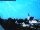 Webcam in Oestrich-Winkel, 1.7 mi away