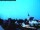 Webcam in Oestrich-Winkel, 20 km