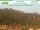 Webcam in Bad Schandau, 0 km entfernt