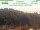 Webcam in Bad Schandau, 0 km entfernt