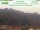 Webcam in Bad Schandau, 0 km