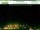 Webcam in Bad Schandau, 6.7 km
