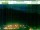 Webcam in Bad Schandau, 1.1 mi away