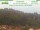 Webcam in Bad Schandau, 0 km