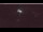 Webcam in Sande, 35.4 km