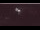 Webcam in Sande, 8.1 km entfernt