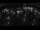 Webcam in Jever, 13.9 km
