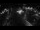 Webcam in Jever, 10.2 km entfernt