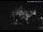 Webcam in Schwerin, 0.2 mi away