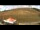 Webcam in Feldberg, 5.7 km