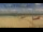 Webcam in Eforie, 434.6 km entfernt