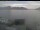 Webcam in Beckenried, 2.9 mi away
