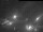 Webcam in Beckenried, 0.8 km entfernt
