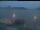Webcam in Beckenried, 7.5 km