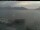 Webcam in Beckenried, 11.2 km entfernt