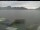 Webcam in Beckenried, 11.2 km entfernt