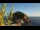 Webcam in Sant'Angelo (Isquia), 6.7 km