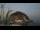 Webcam in Sant'Angelo (Ischia), 2.5 mi away
